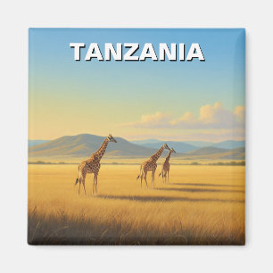 Imã Parque Nacional da Tanzânia Serengeti Girafas