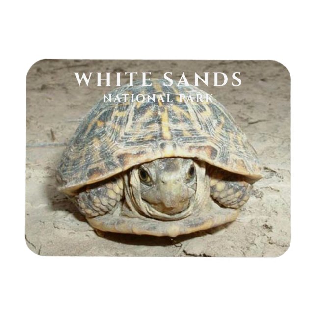 Ímã Parque Nacional da Turtle White Box (Horizontal)