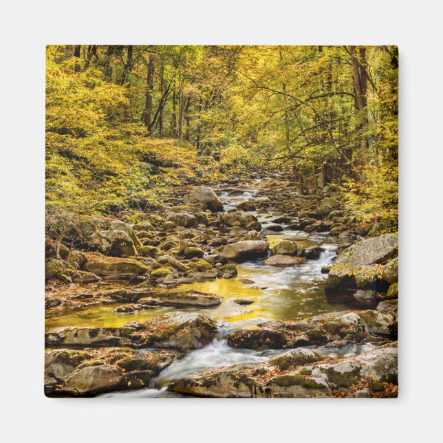 Imã Parque Nacional das Montanhas do Enfumaçado excele (Frente)