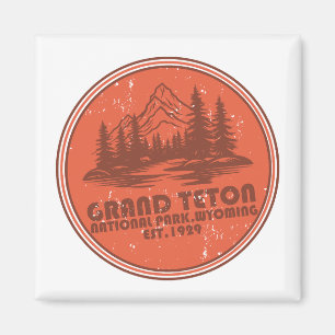 Imã Parque Nacional das Montanhas Grand Teton Wyoming