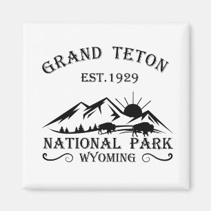 Imã Parque Nacional das montanhas Grand Teton Wyoming