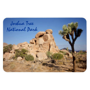 Ímã Parque nacional de árvore de Joshua