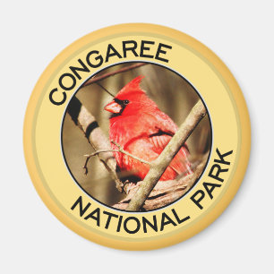 Imã Parque nacional de Congaree