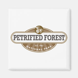 Imã Parque nacional de floresta Petrified