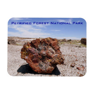Ímã Parque nacional de floresta Petrified