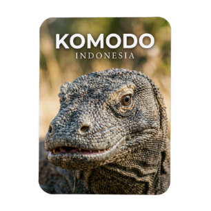 Ímã Parque Nacional de Komodo Indonésia