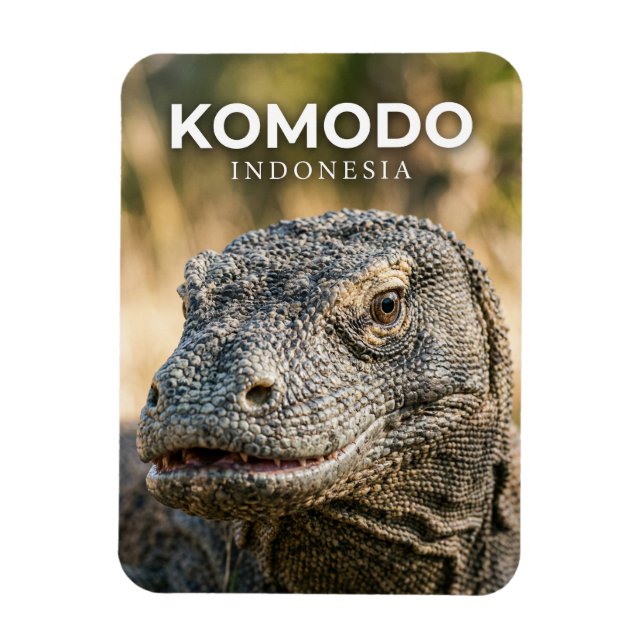 Ímã Parque Nacional de Komodo Indonésia (Vertical)