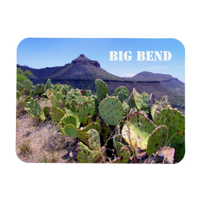 Ímã Parque Nacional de Pear Cactus Big Bend (Horizontal)