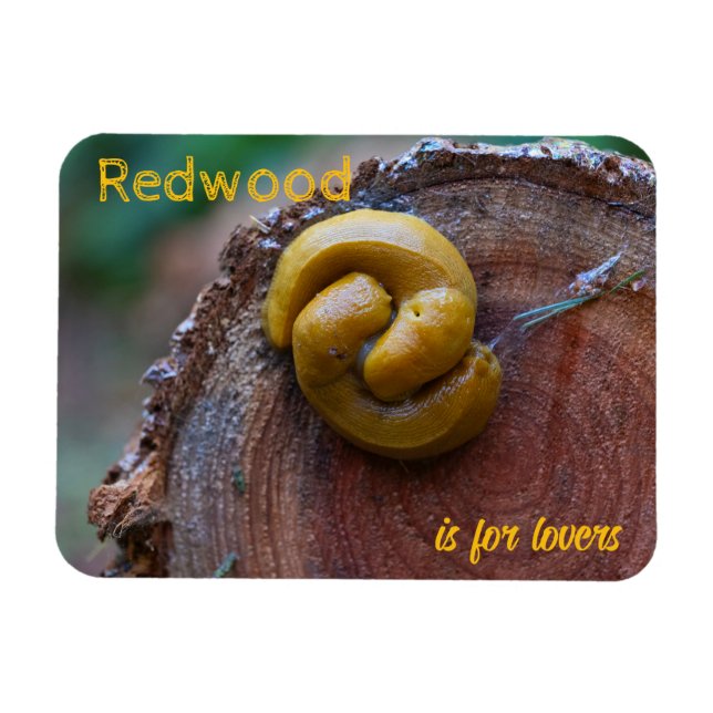 Ímã Parque Nacional de Redwood Banana Slug Pair (Horizontal)