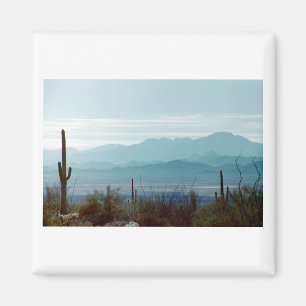 Imã Parque nacional de Saguaro