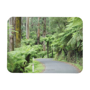 Ímã Parque nacional de Tarra Bulga, escalas de