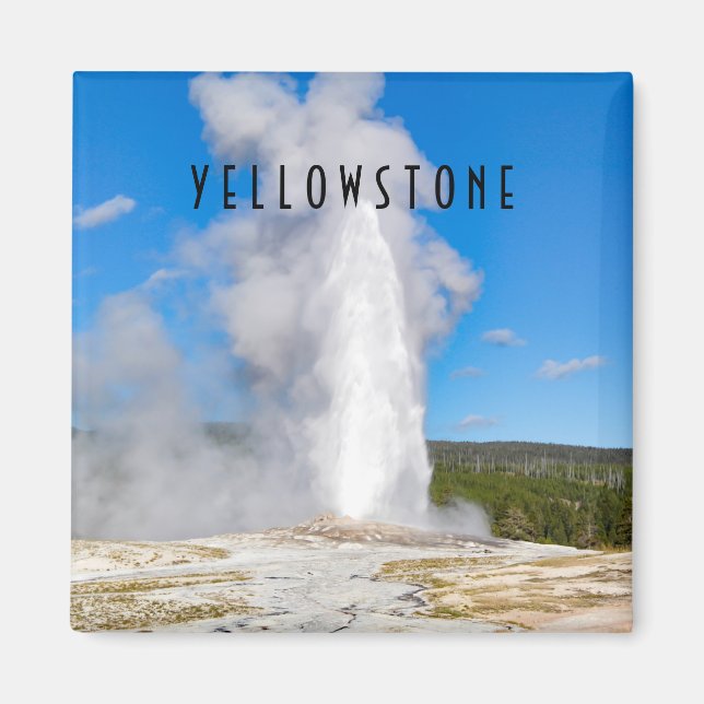 Imã Parque Nacional de Yellowstone, velho e fiel (Frente)