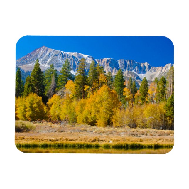 Ímã Parque Nacional de Yosemite Tioga Pass (Horizontal)
