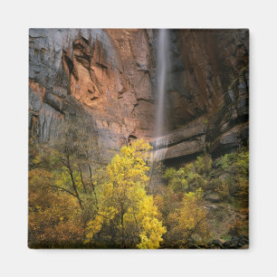 Imã Parque Nacional de Zion, Utah. EUA. Efêmero