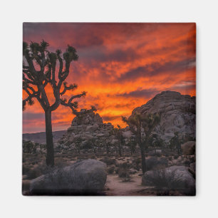 Imã Parque Nacional do Joshua Tree Red Sunset