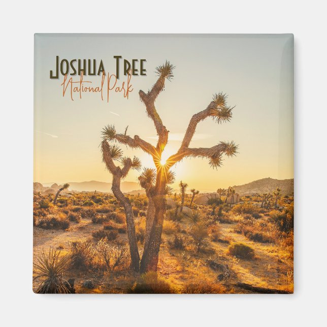 Imã Parque Nacional do Joshua Tree Souvenir Gift Magne (Frente)