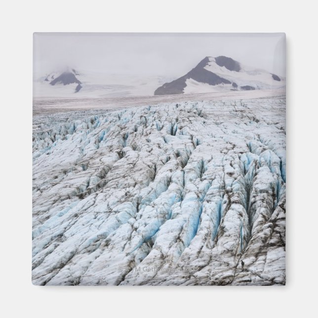 Imã Parque Nacional do Kenai Fjords (Frente)