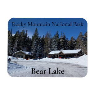 Ímã Parque Nacional do Lago Rocky Mountain, Snowy Bear