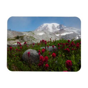 Ímã Parque Nacional do Monte Rainier, Monte Rainier 1