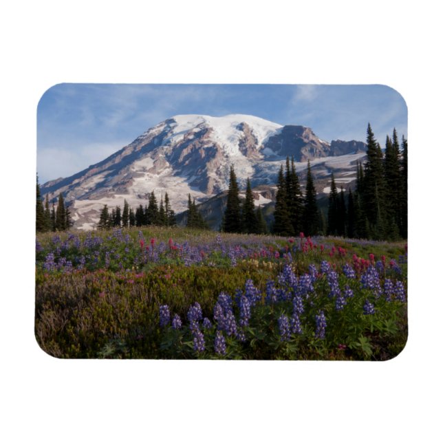 Ímã Parque Nacional do Monte Rainier, Monte Rainier 3 (Horizontal)