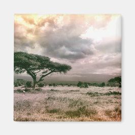 Imã Parque Nacional do Sahara Serengeti Savannah Afric