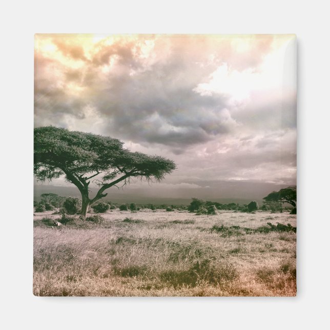 Imã Parque Nacional do Sahara Serengeti Savannah Afric (Frente)