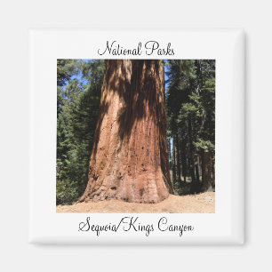 Imã Parque Nacional do Sequoia Kings Canyon