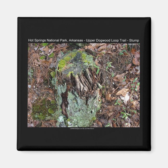 Imã Parque Nacional dos Primaveras Quentes, AR Upper D (Frente)