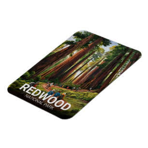 Ímã Parque nacional estadual Redwood, Califórnia Coste