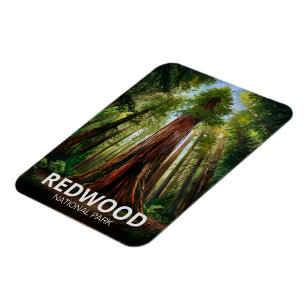 Ímã Parque nacional estadual Redwood, Califórnia Coste