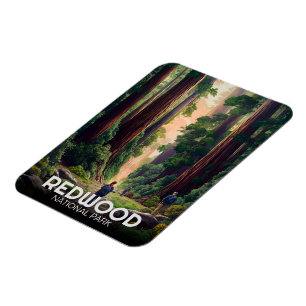 Ímã Parque nacional estadual Redwood, Califórnia Coste
