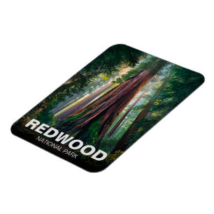 Ímã Parque nacional estadual Redwood, Califórnia Coste