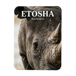 Ímã Parque Nacional Etosha Namíbia