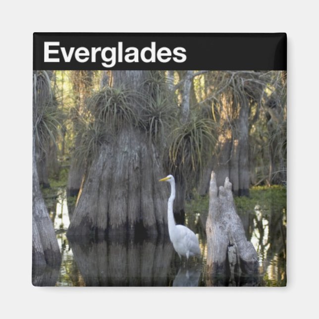 Imã Parque Nacional Everglades (Frente)