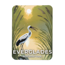 Parque Nacional Everglades | Cegonha em Aquarela