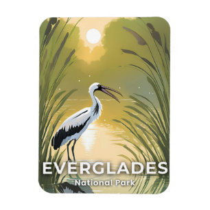 Ímã Parque Nacional Everglades Cegonha em Aquarela