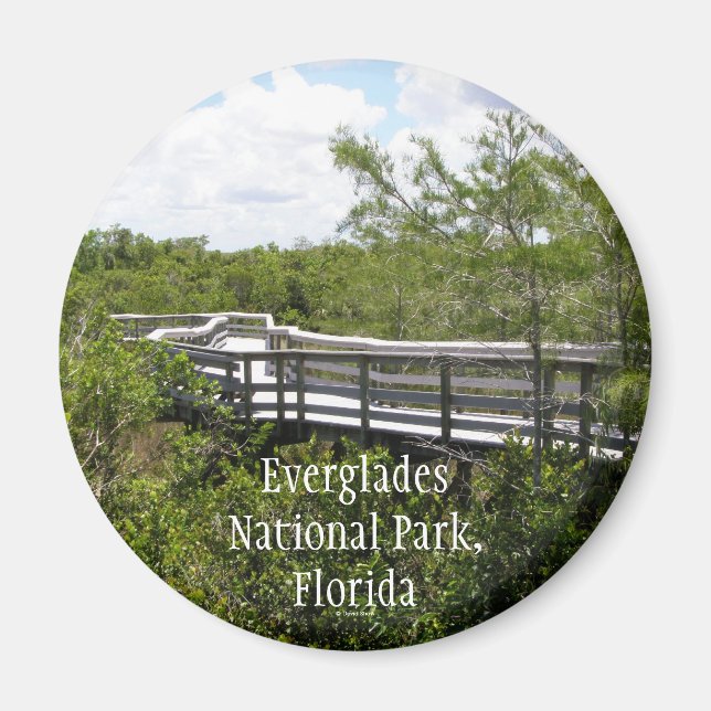 Imã Parque Nacional Everglades, Flórida (Frente)