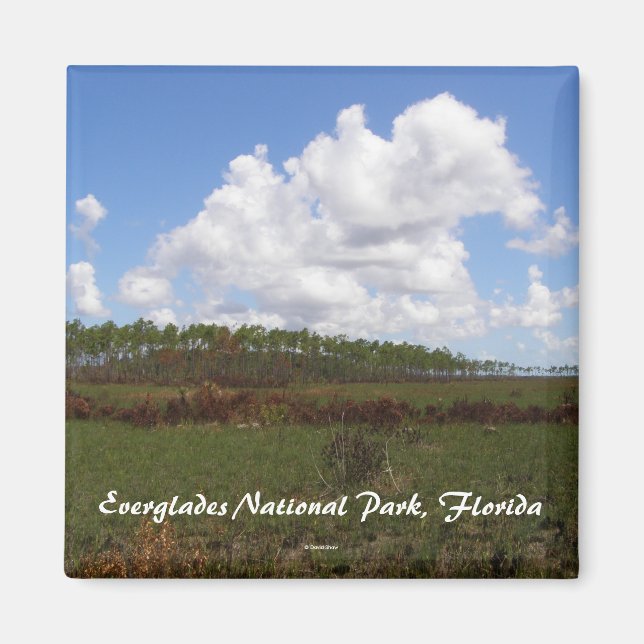 Imã Parque Nacional Everglades, Flórida (Frente)