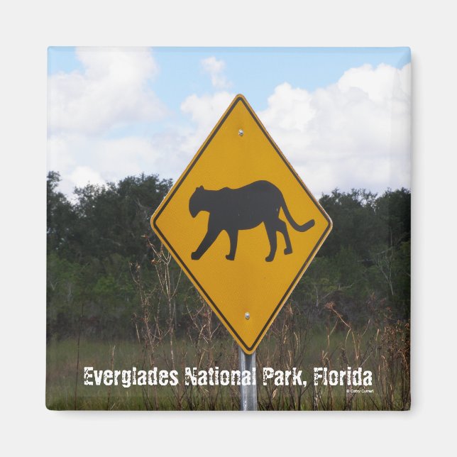 Imã Parque Nacional Everglades, Flórida (Frente)