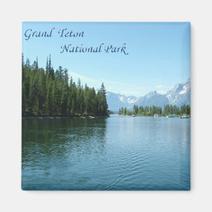 Imã Parque Nacional Grand Teton