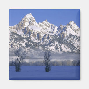 Imã PARQUE NACIONAL GRAND TETON, WYOMING. EUA. Névoa &