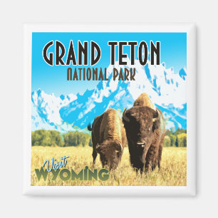 Imã Parque nacional grande de Teton