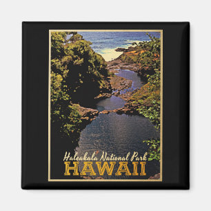 Imã Parque nacional Havaí de Haleakala