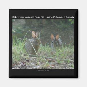 Imã Parque Nacional Hot Springs, AR Presentes Coelhos