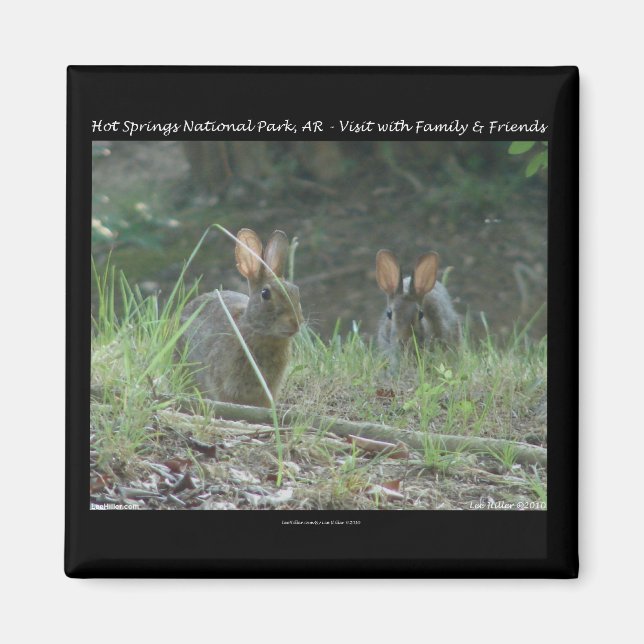 Imã Parque Nacional Hot Springs, AR Presentes Coelhos  (Frente)