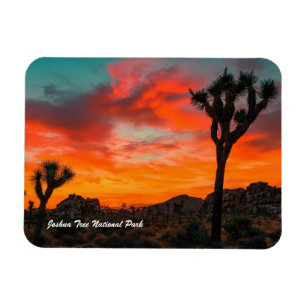 Ímã Parque Nacional Joshua Tree