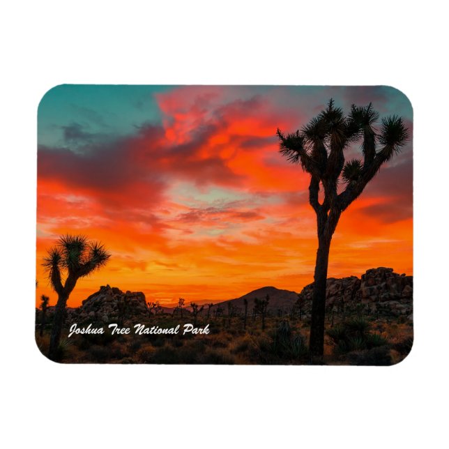 Ímã Parque Nacional Joshua Tree (Horizontal)