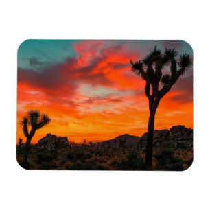Ímã Parque Nacional Joshua Tree