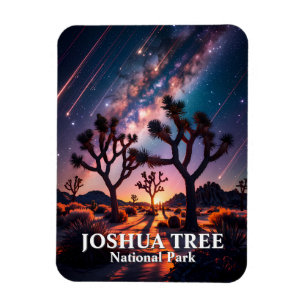 Ímã Parque Nacional Joshua Tree Céu Noturno Via Láctea