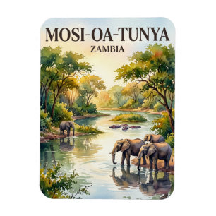 Ímã Parque Nacional Mosi-oa-Tunya Zâmbia
